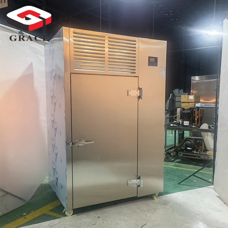 Commercial Industrial 80 Trays 2 Carts Trolley Blast Freezer Kitchen Blast Chiller Restaurant