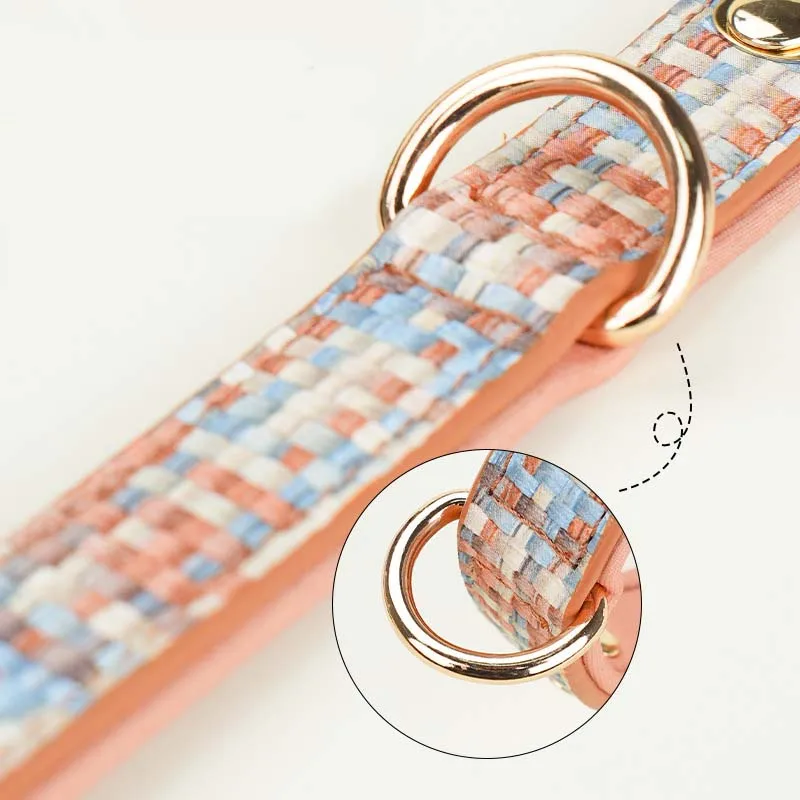 Personalized Nameplate Dog Collar Durable Metal Buckle Dog Collar for Puppy Adjustable