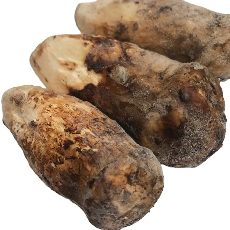Yunnan High Quality Frozen Matsutake Mushroom Low Price Wild Tricholoma Matsutake