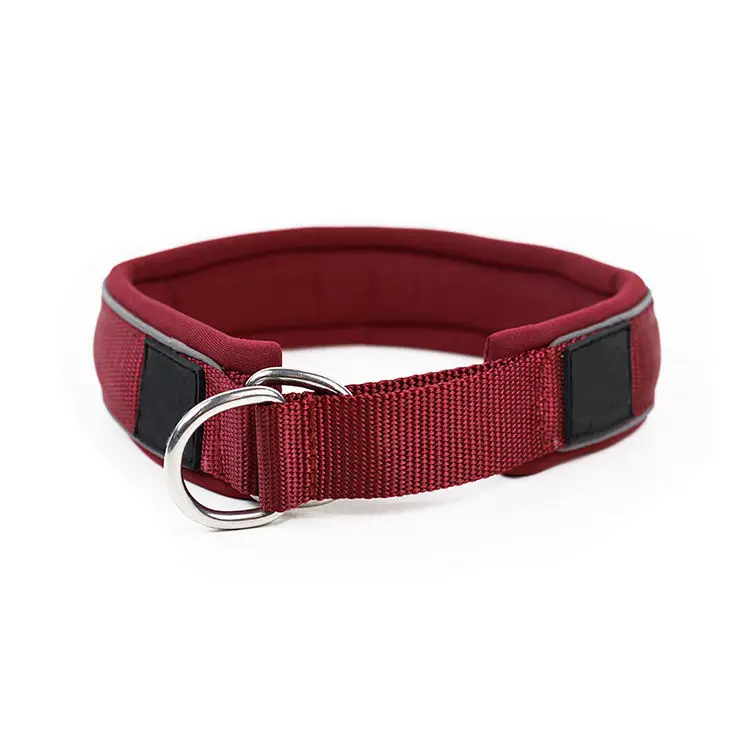 Hot sale custom soft nylon dog collar martingale dog collar for daily sporting and training