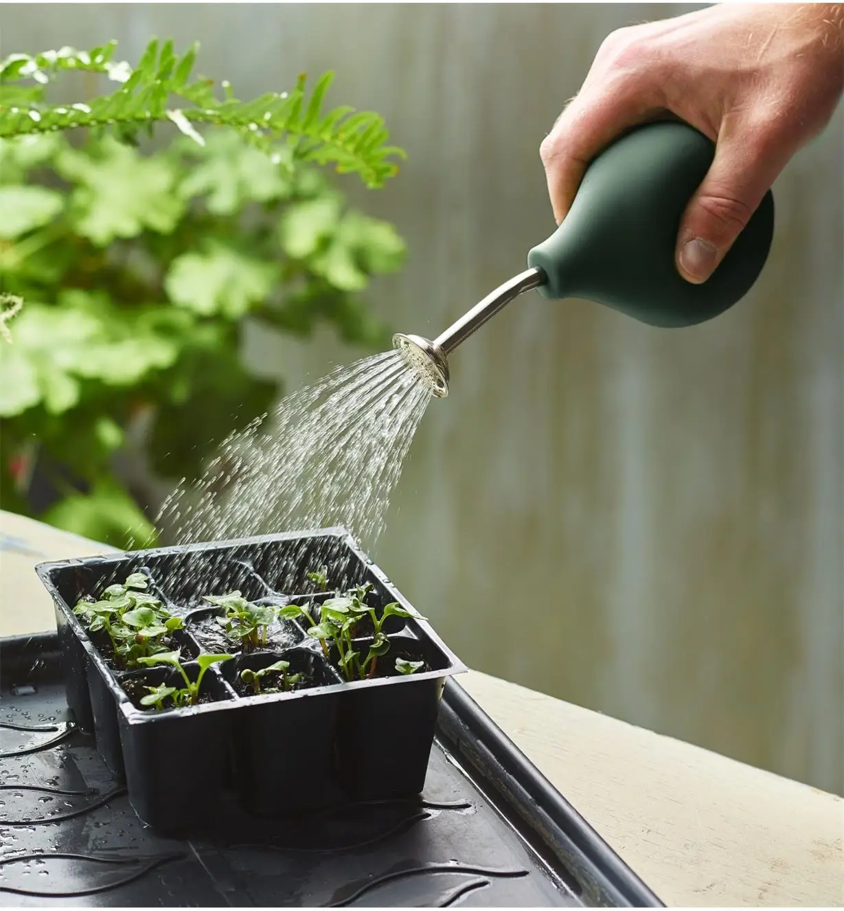 Esschert Design TG279 PVC+Stainless Steel Bulb flower squeeze sprinkler watering globes ball, seed watering can