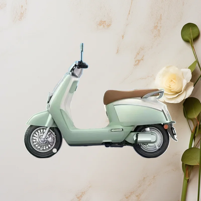 2024 New 48V60V High-Power Adult Electric Bicycle Multi-Functional Pedal Electric Vehicle with Digital Electronic Smart Types