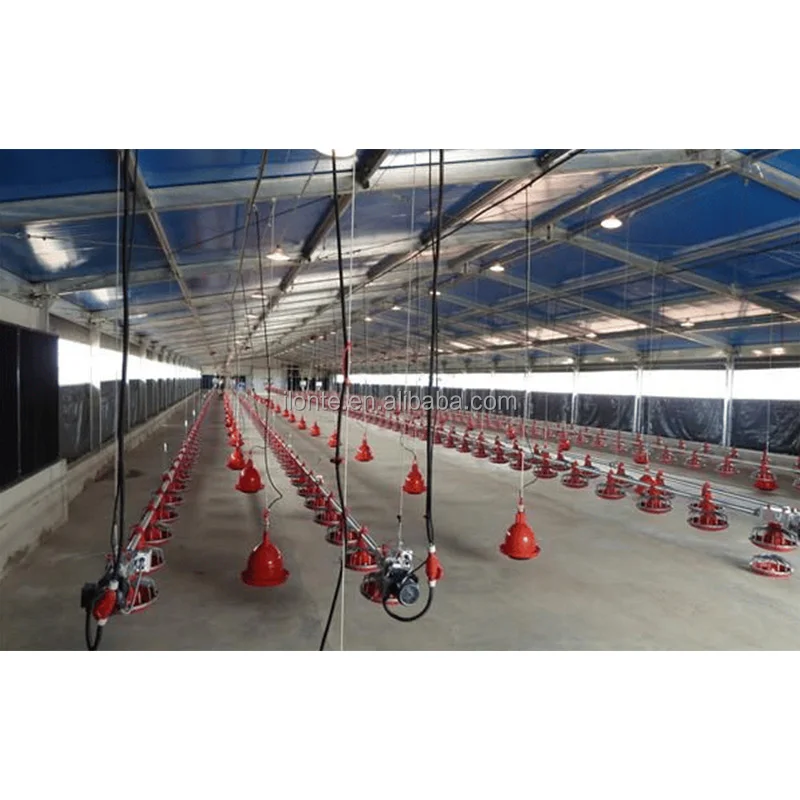 Outdoor Movable Galvanized Horse Shelters Mobile Portable Cow Shed Install With Roof