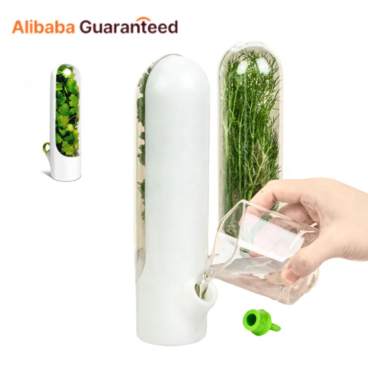 Hot Selling Transparent Refrigerator Herb Saver Pod Containers Keep Freshness  Herb Keeper Storage