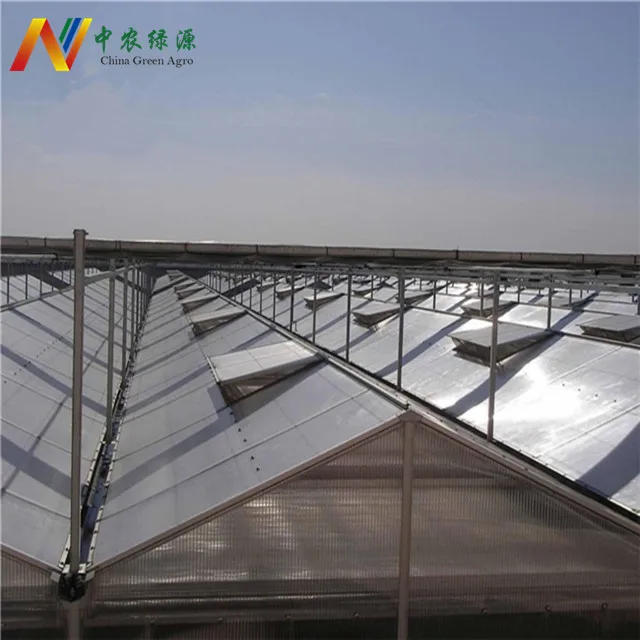 Large multi-span dome polycarbonate greenhouses for tomatoes farm
