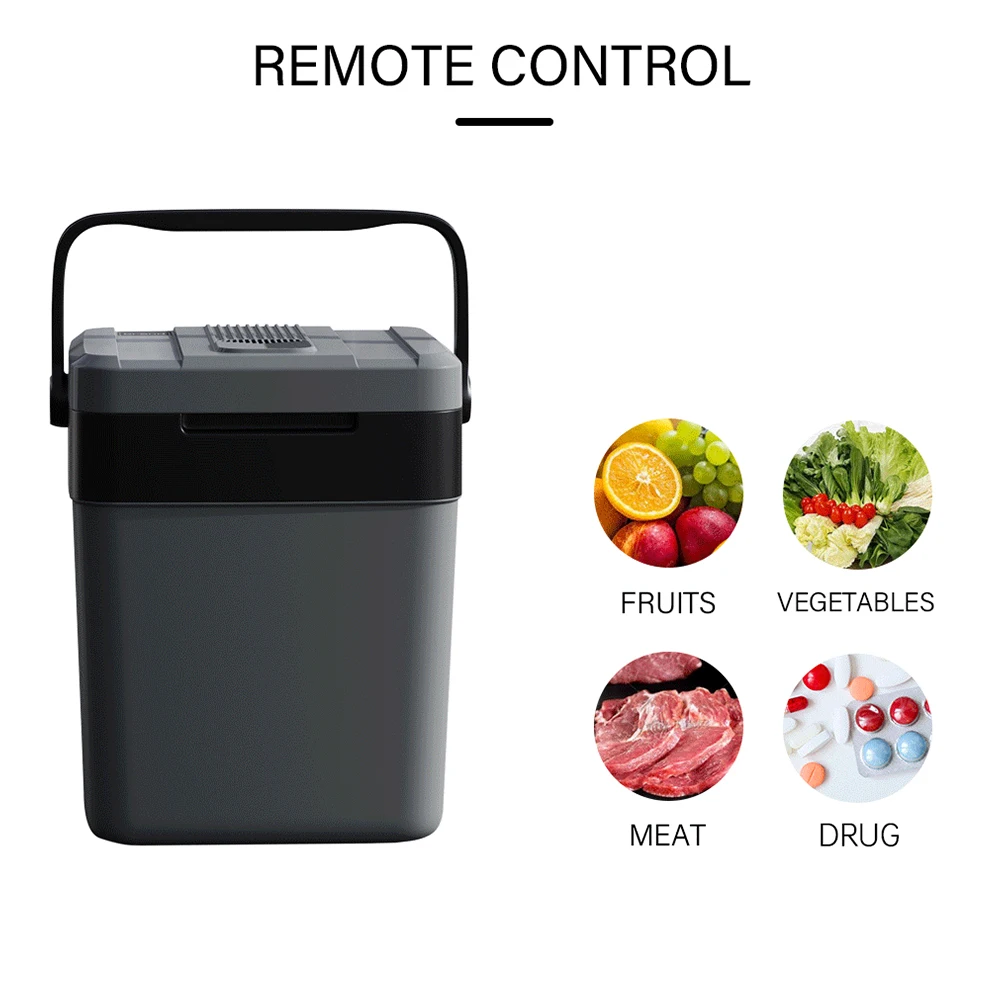 27L blue cooler box DC/AC single cold with handle cooler electric box for camping 24V high quality