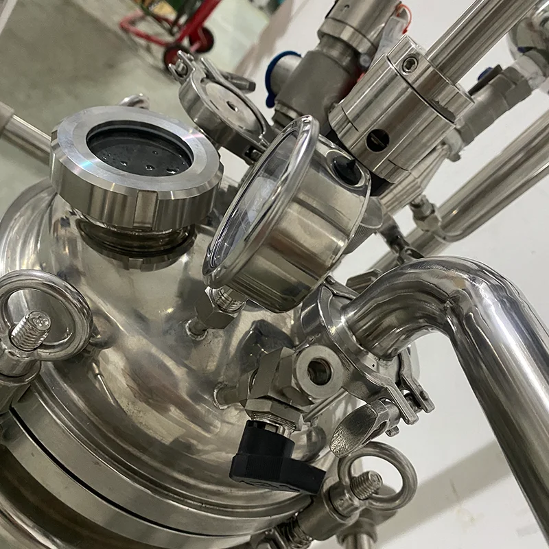 Lab 304 or 316 20L double wall jacketed stainless steel Pilot Plant High-Pressure Reactor