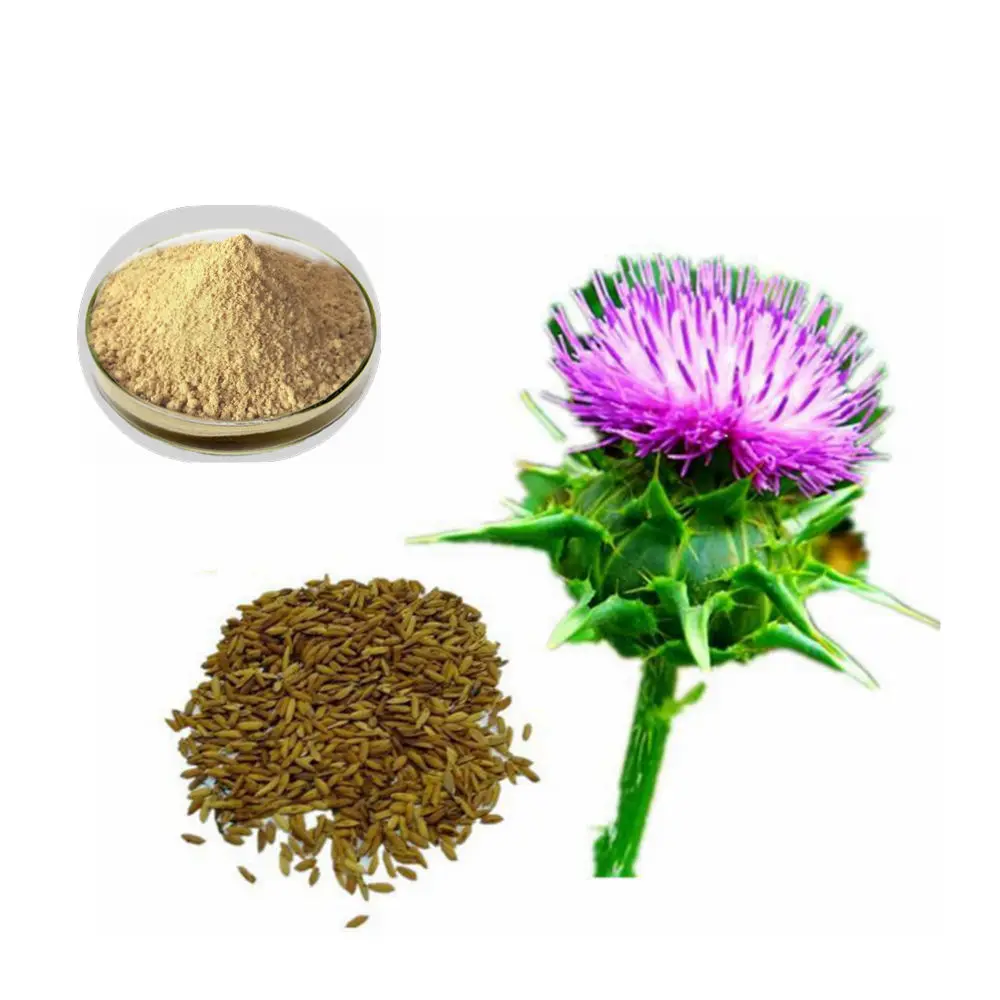 Silybum Marianum Healthcare Medicine/ Raw Material /80% Silymarin/ Purity Herb Plant Milk Thistle Extract
