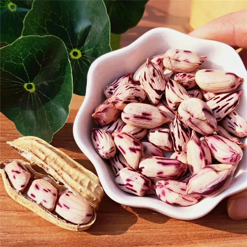 2023 New Shredded Snacks Colorful Shredded Peanuts 1 kilogram Small Pitched Grains Colorful