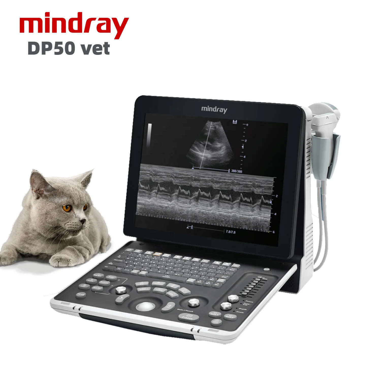 Mindray DP50 vet ecocardiografo portatil медицинское ультразвуковое устройство портативная ветеринарная ультразвуковая машина сканер