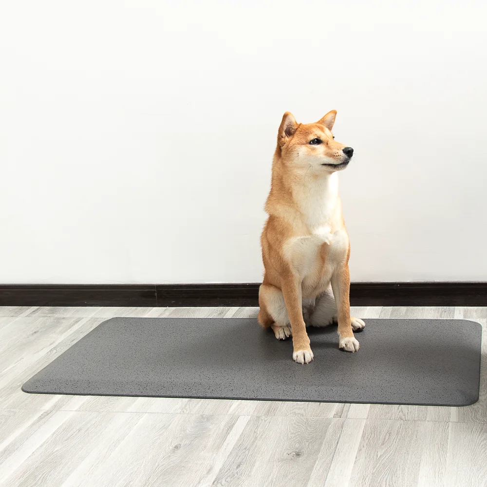 Custom Wholesale Print Ink Dot Soft Durable Skidproof Pet Cat Dog Mat