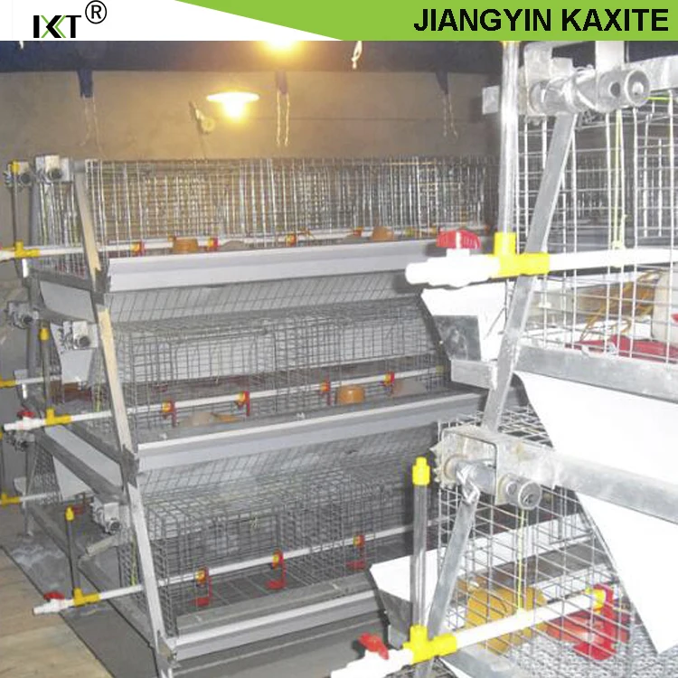 Custom Size Poultry Cage Conveyor Belt Chicken Cages Plastic New Material Good Quality Belt Poultry Cage System