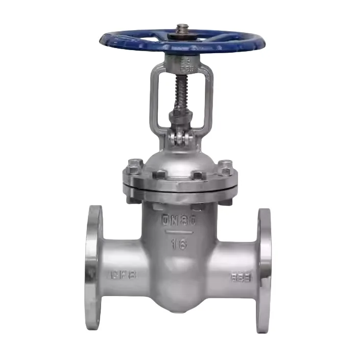3 Inch Rising Stem Stainless Steel Flange Gate Valve High Temperature Steam Marine Gate Valve Light Heavy