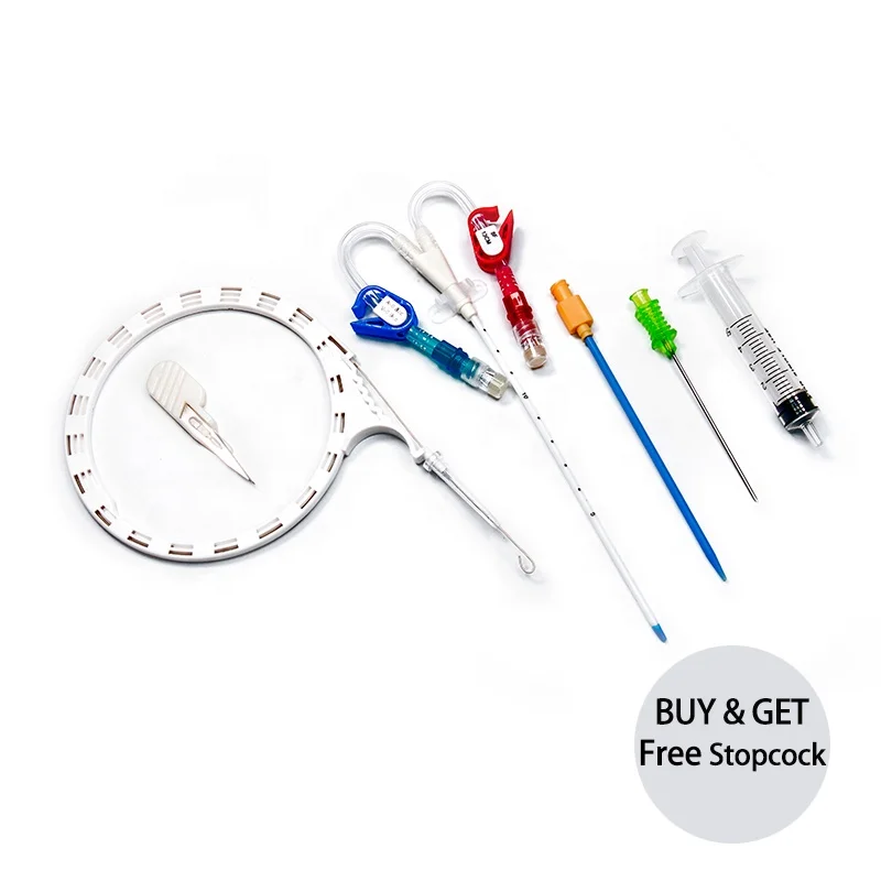 Custom High Quality Disposable Medical Kidney Dialysis Catheter Hemodialysis Kit Catheter with CE