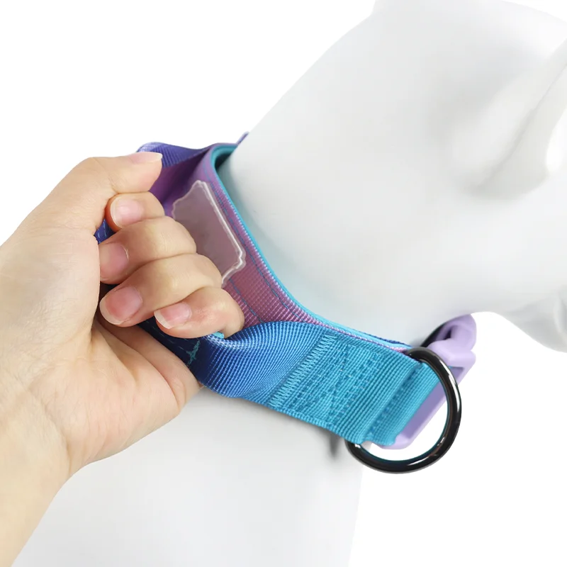 Stylish Adjustable Purple and Blue Clashing Colour Pet Collar with Plastic Accessories Dog Collar with Soft Handle For Dog