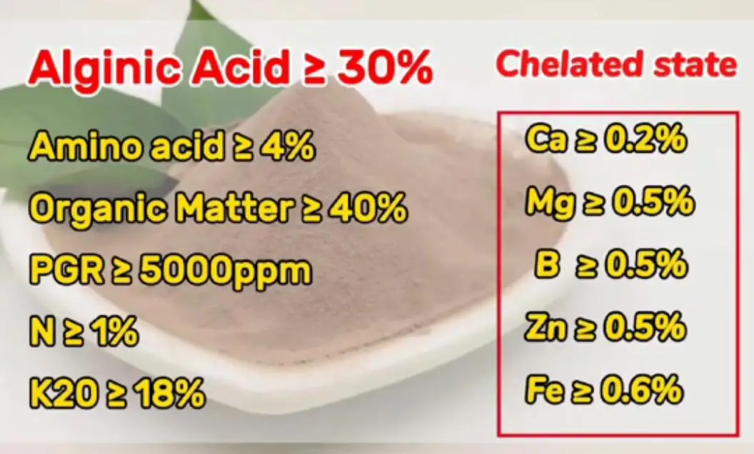 organic Fertilizer Biostimulants Alga amino plus Enhance crop stress resistance Ascophyllum Nodosum source
