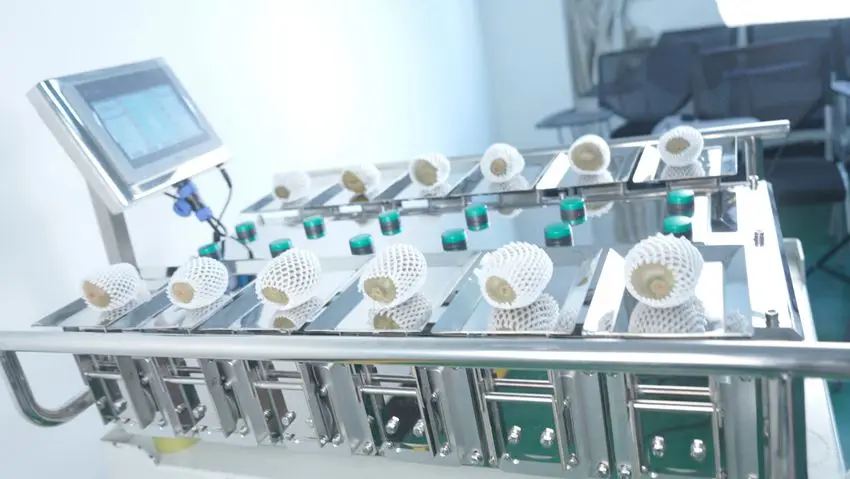 Manual Weighing Beef Steak Fruit Vegetable Desk-Top Combination Weigher Weighing Machine