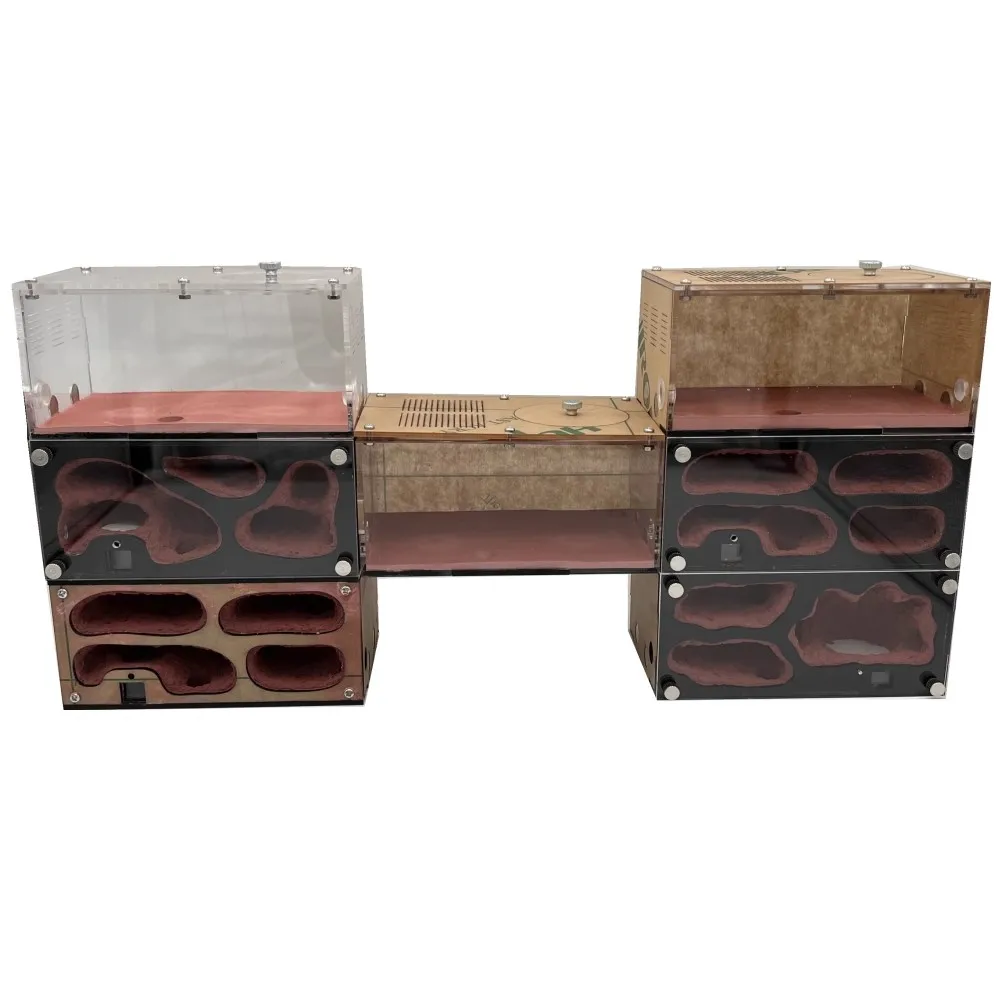 Ant Farm Set With Ants Drinker Temperature Control Concrete Ant Nest Infinite Expansion Insect House Anthill Kit Accessories