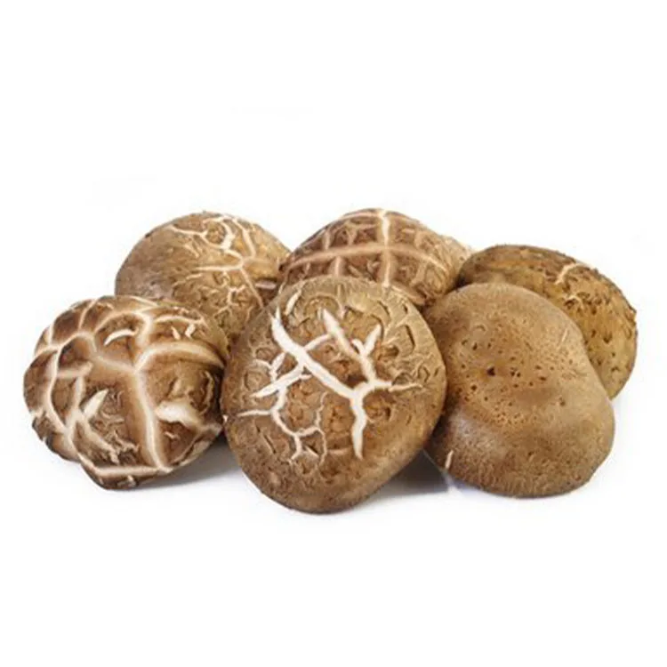  Органические свежие грибы shiitake коричневого цвета оригинальный тип долговечный продукт ISO модель