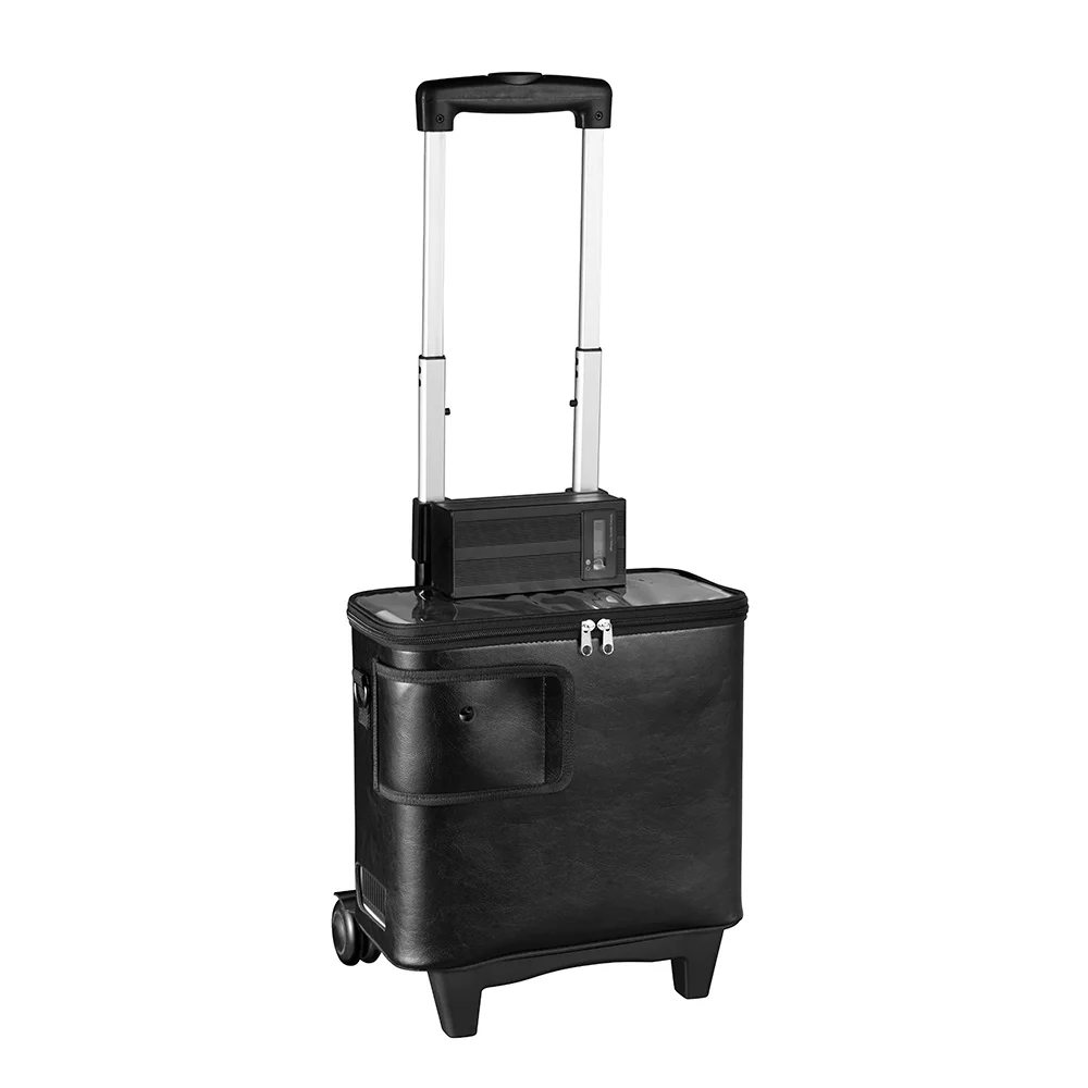 Top quality portable oxygen concentrator for sale with factory price