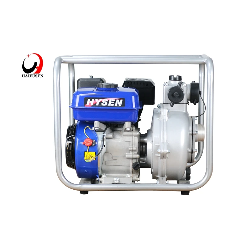 Hot Selling Cheap Custom Cast Iron Gasoline Pump 170F7HP Engine 208ccGasoline Fire Pump