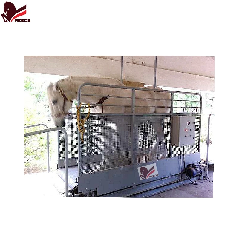 CE certified High speed 30 km per hour  horse treadmill horse running machine