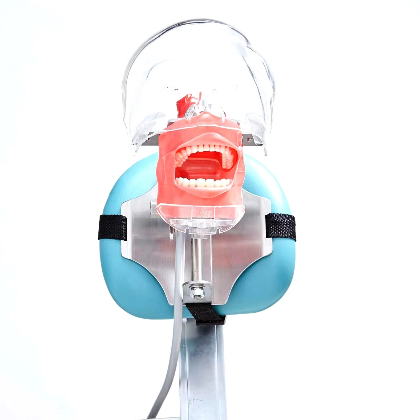 Dental Equipments Dental Unit Attached Cheap Dental Phantom Head