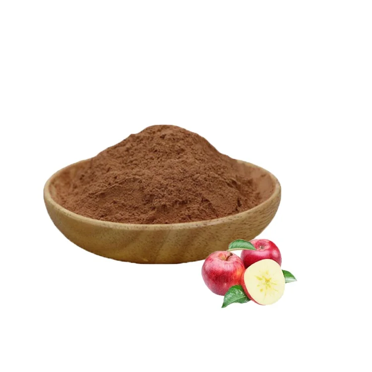 Apple Root Extract 98% Phloretin Apple Extract Root Bark Extract