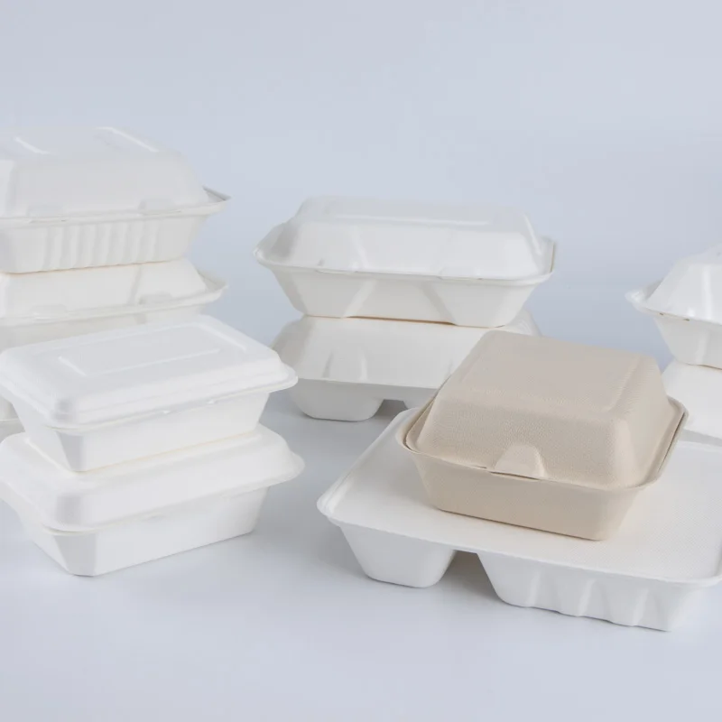 Custom Clamshell Takeaway Box Biodegradable Compostable Sugarcane Disposable Bagasse Food Container Paper Food Trays