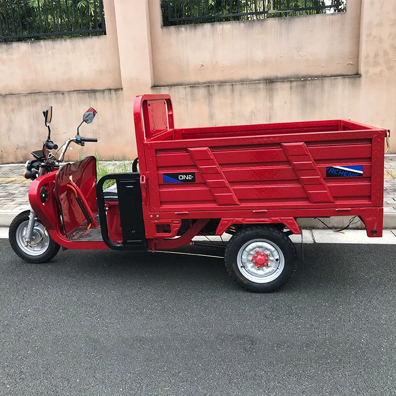 Factory Price 3-Wheel Electric Tricycle for Adults 48v Steel and Iron Motor Trike with CE Certificate for Loading