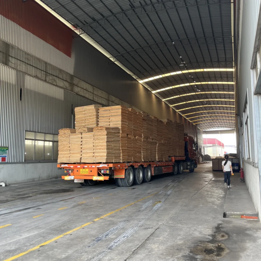 Vietnam Bitangor Commercial Plywood 18mm Melamine Veneer Board Good Quality Modern Design E0 Poplar Birch Main Material 1-Year