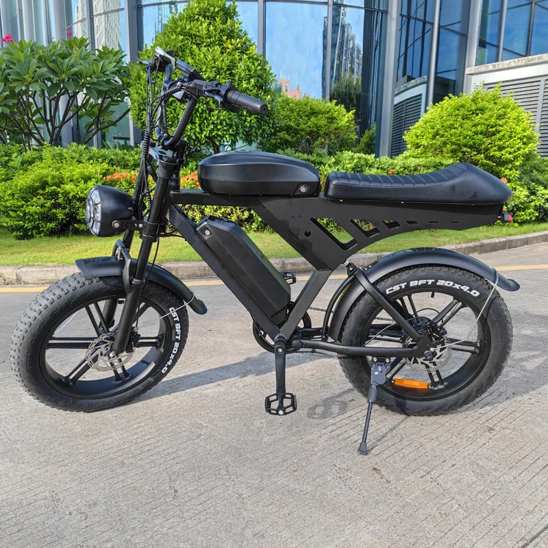 V30 Pedal Assist Electric Bike Bicycle Fat Tire Ebike 2 Wheel Drive Electric Bike 250w 750w Import Electric Bikes from China