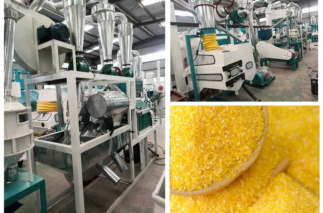 Complete 12 ton per day Fine Maize Flour Milling Machine with Packing Machine