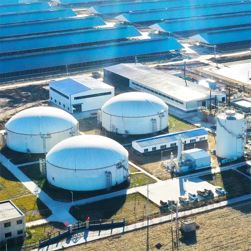Система очистки десульфурации биогаз менее агрессивный раствор аминов сепаратор биогаза CO2 оборудование для улавливания и хранения
