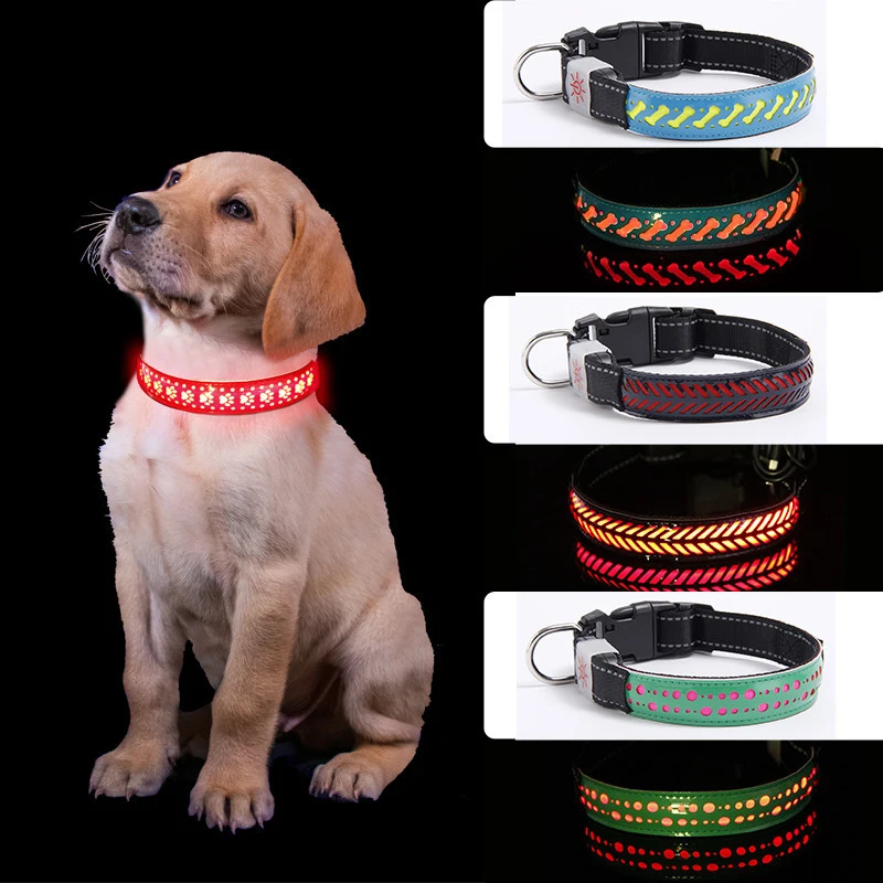Top Seller Led Dog Leash Usb Glowing In Dark Led Dog Leash Dog Choke Collars Night Light Pet Collar