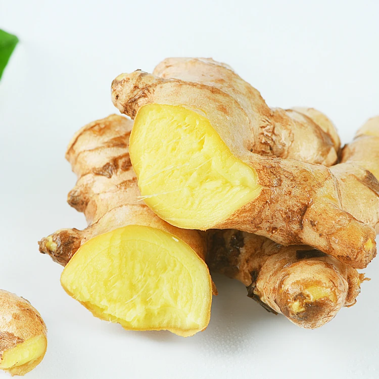 Young Fresh Ginger For Export  Low Price of Fresh Garlic as A Food Garlic