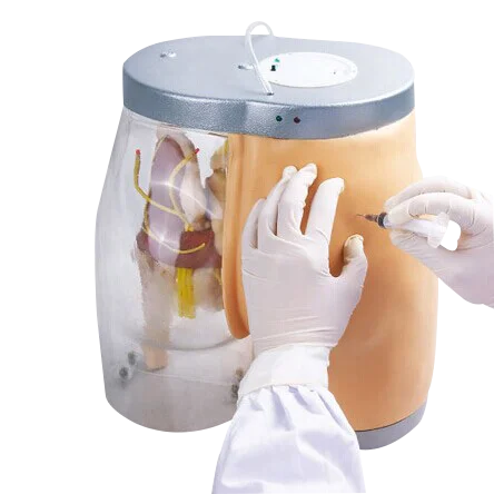 ADA-H5T Buttocks Intramuscular Injection training and Compared Simulator