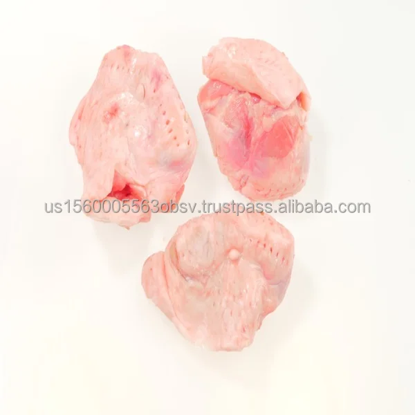 Bulk Turkey Tail for Sale