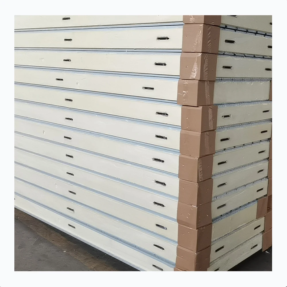 Cold Room Storage 100mm thickness PIR PU Panel with com lock