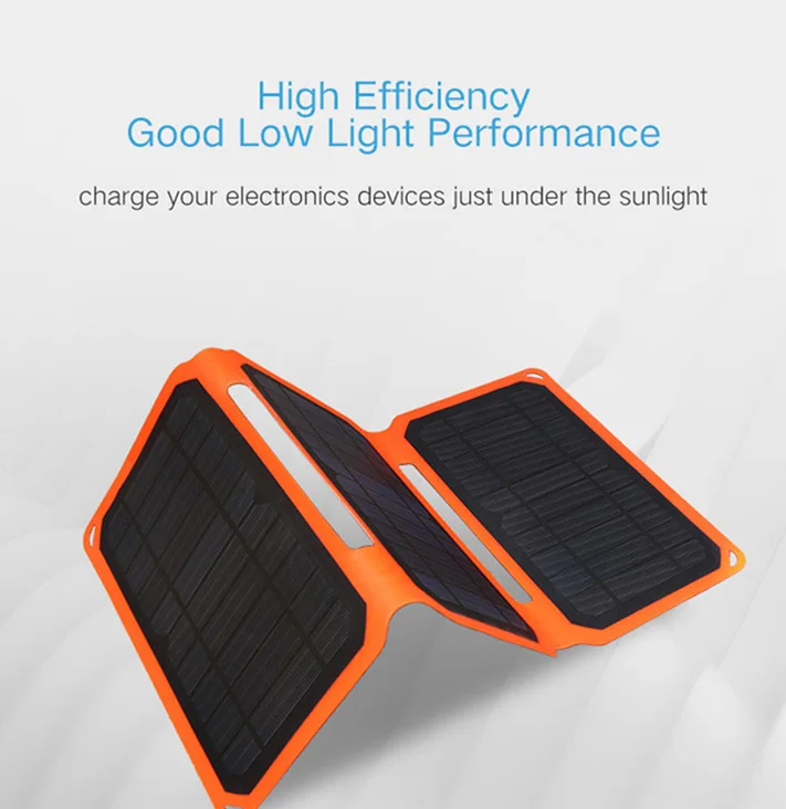 under the sunlight.jpg