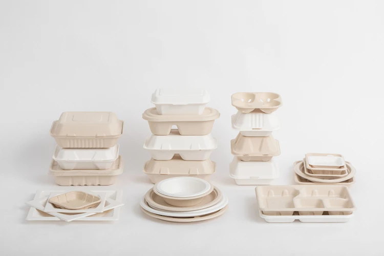 LUZHOU Natural Sugarcane Bagasse Renewable Plant Fiber Tree Free 3-Compartment Clam Shell Container