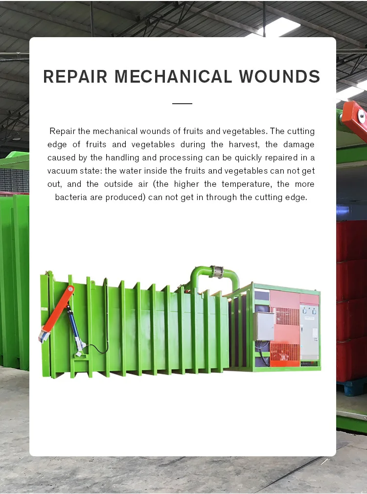 Вакуумный кулер для фруктов и овощей, подходит для свежих овощей и т. д., вакуумный охладитель для овощей и фруктов, вакуумный охладитель для фруктов
