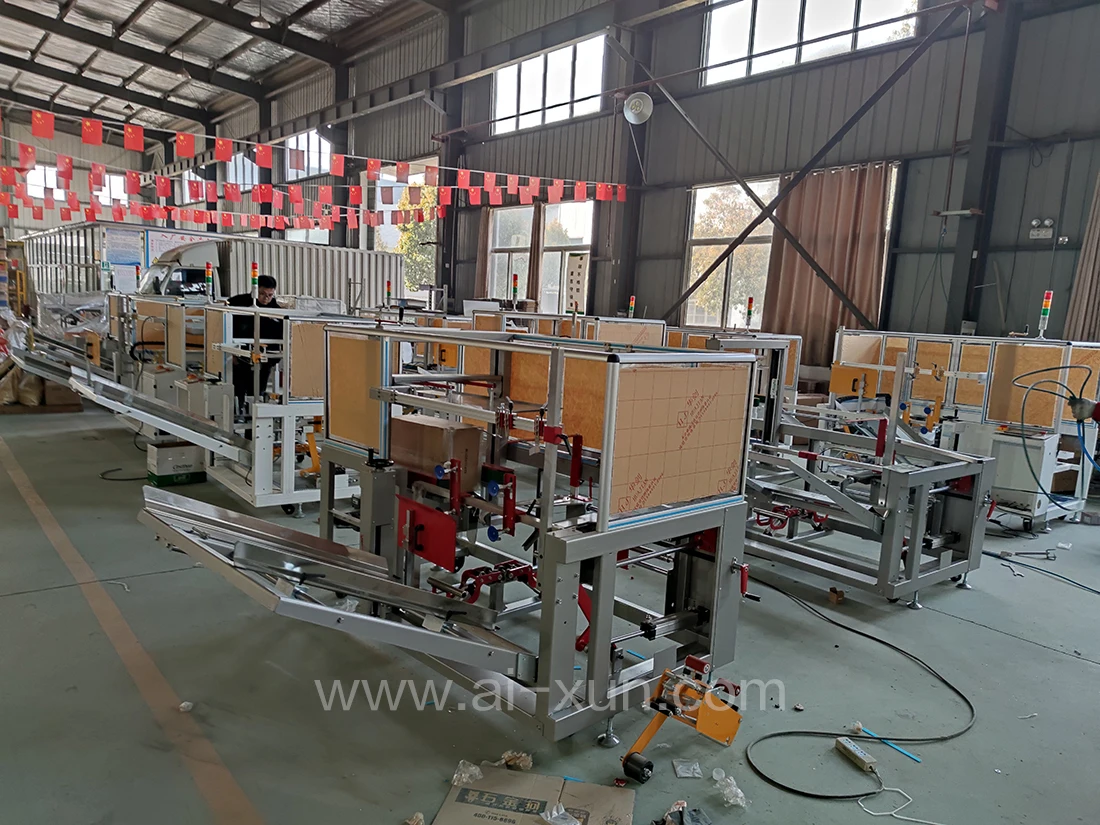 Automatic Case Erector with Bottom Sealing and Folding Sealer and Siemens Control