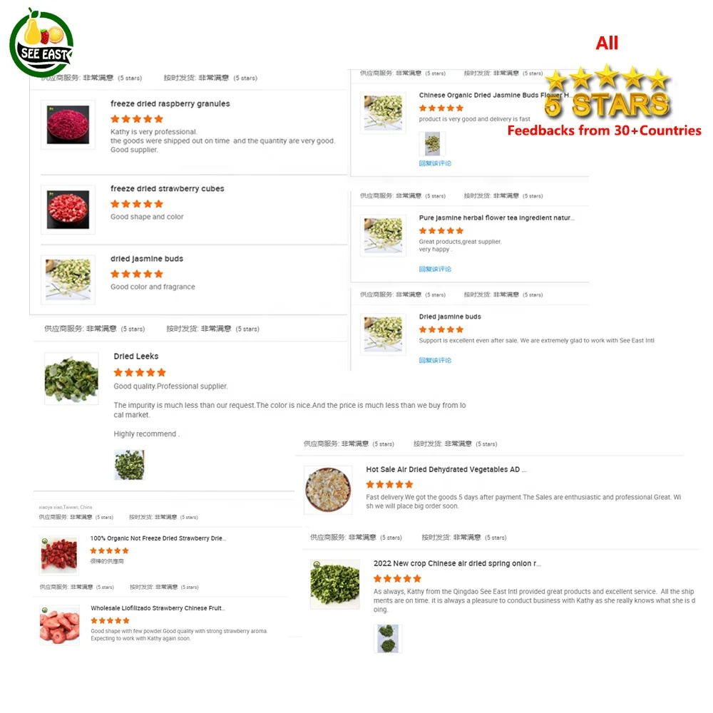 Free Samples Natural Freeze Dried Food 3mm Diced Freeze Dry Carrot for Soup