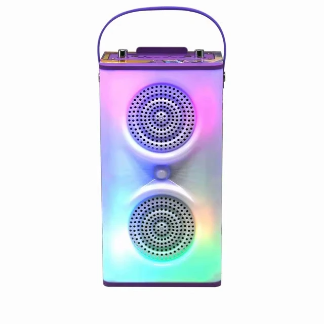 Powerful speaker 20W 2400mah rechargeable karaoke speaker with 2 mic for singing party
