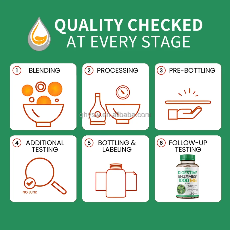 OEM ODM Natural Digestive Enzymes Capsules Supplement of Prebiotics with Probiotics Properties Digestive Enzymes Capsules