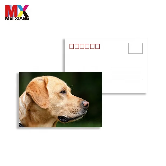 souvenir customize lenticular 3d 5d postcard 3d lenticular postcard with lovely animal
