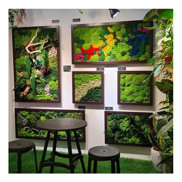 Musgo verde para decorar muschio stabilizzato оптом мох растение настоящий натуральный сдержанный настенное искусство на заказ дисплей moss art