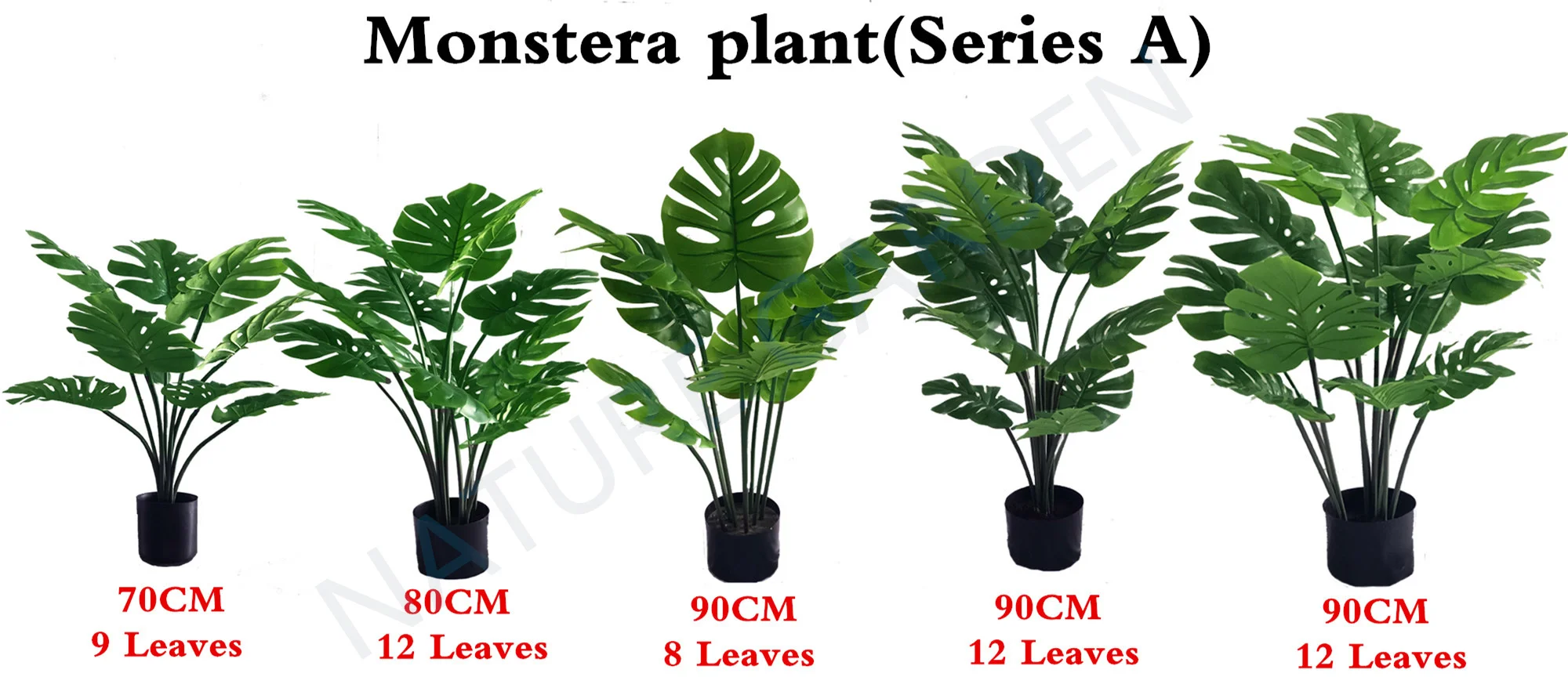 Ornamental Monstera Variegata Natural Plant Indoor Decoration Artificial Dry Tree House Plants