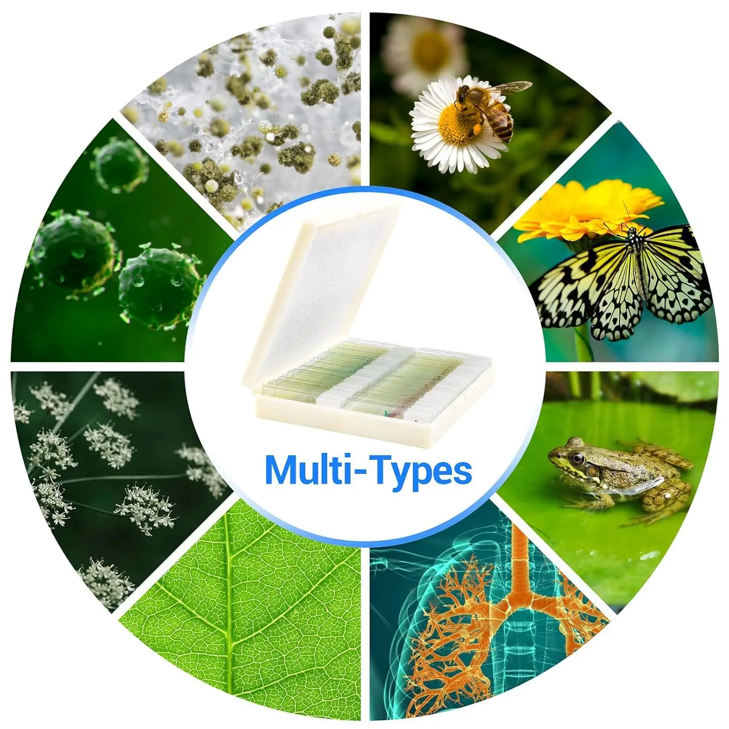 Medical teaching 100 microscope medical parasitology slides for school use